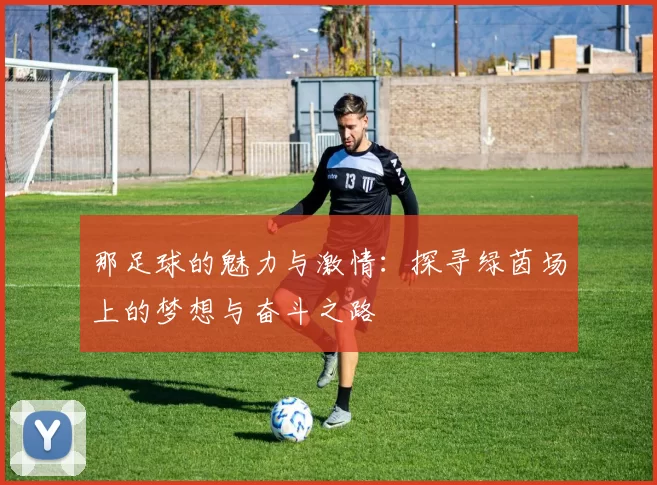 那足球的魅力与激情：探寻绿茵场上的梦想与奋斗之路